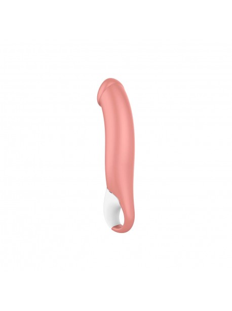 Vibromasseur Satisfyer Vibes Master - Rose